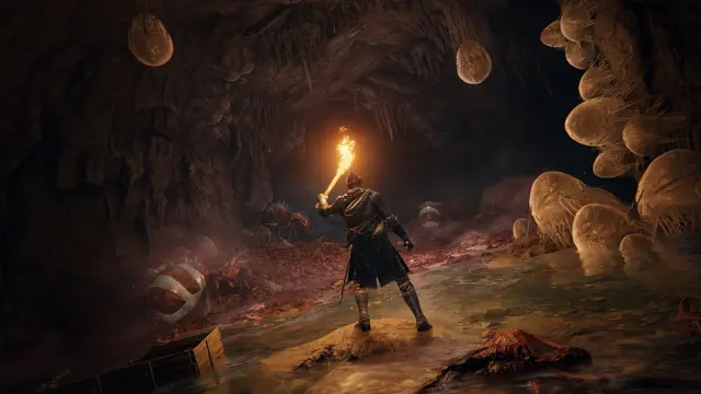 ELDEN RING PS4 & PS5 — screenshot 9 of 12