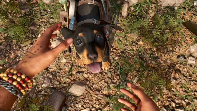 FARCRY 6 — кадр 12 из 12