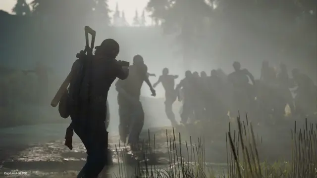 Days Gone — кадр 12 из 12