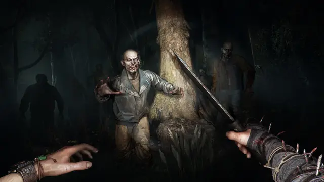 Dying Light: The Beast — кадр 9 из 12