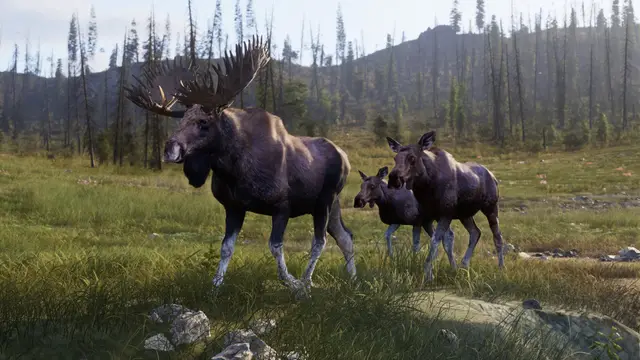 Way of the Hunter 2 — кадр 4 из 7