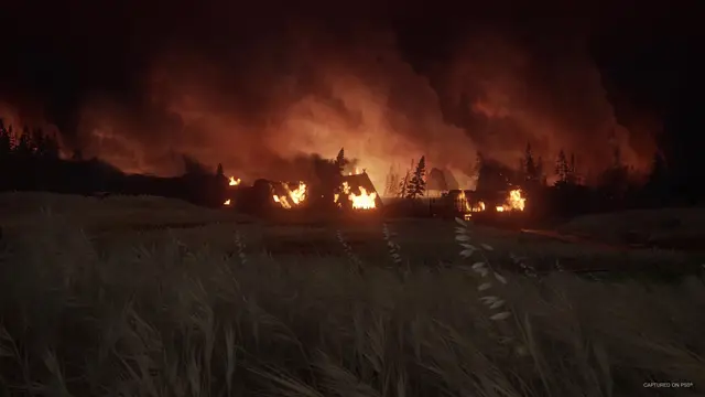 The Last of Us Part II — кадр 12 из 12