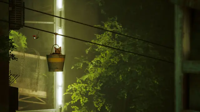 Stray — кадр 9 из 9