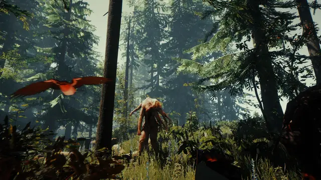 The Forest — кадр 6 из 12