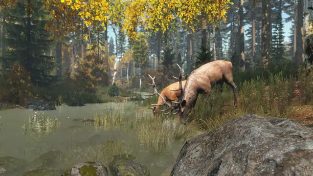 DayZ — кадр 7 из 8