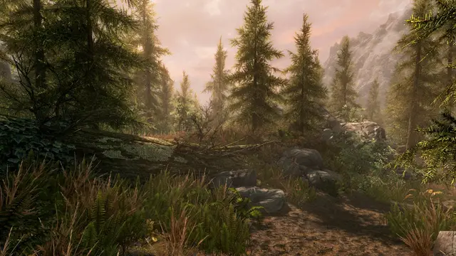 The Elder Scrolls V: Skyrim Special Edition - PS5 & PS4 — screenshot 5 of 10