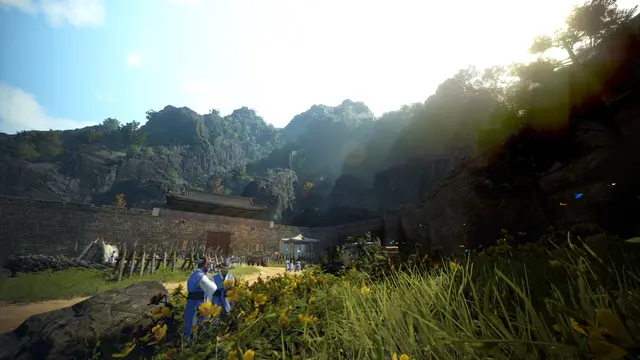 Black Desert — кадр 11 из 12