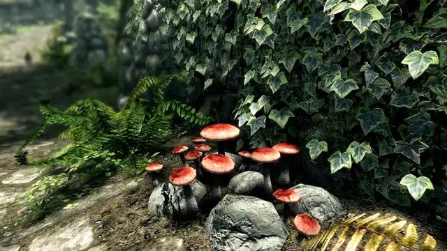 The Elder Scrolls V: Skyrim Special Edition - PS5 & PS4 — screenshot 9 of 10