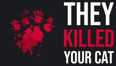 They Killed Your Cat
