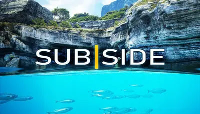 Subside