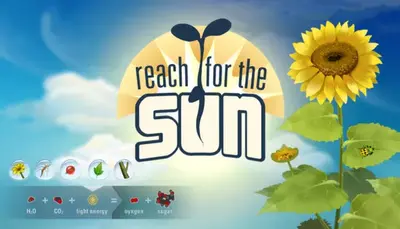Reach for the Sun
