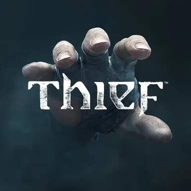 Thief